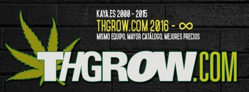 THGrow, introducing our new logo.