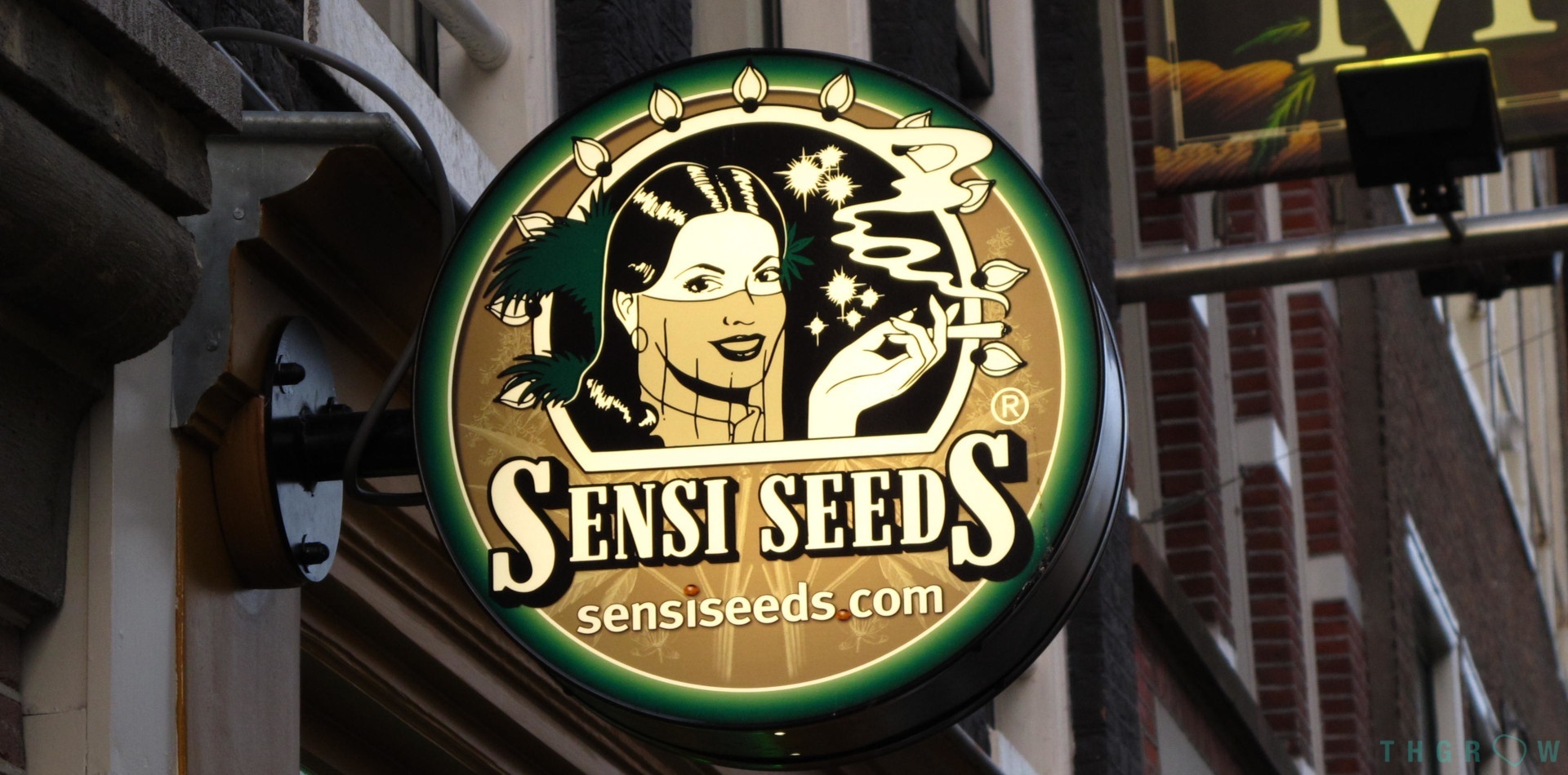 Sensi Seeds. Tradition and innovation in the creation of marijuana seeds.