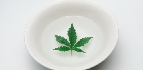 La cuisine au cannabis: guide de base
