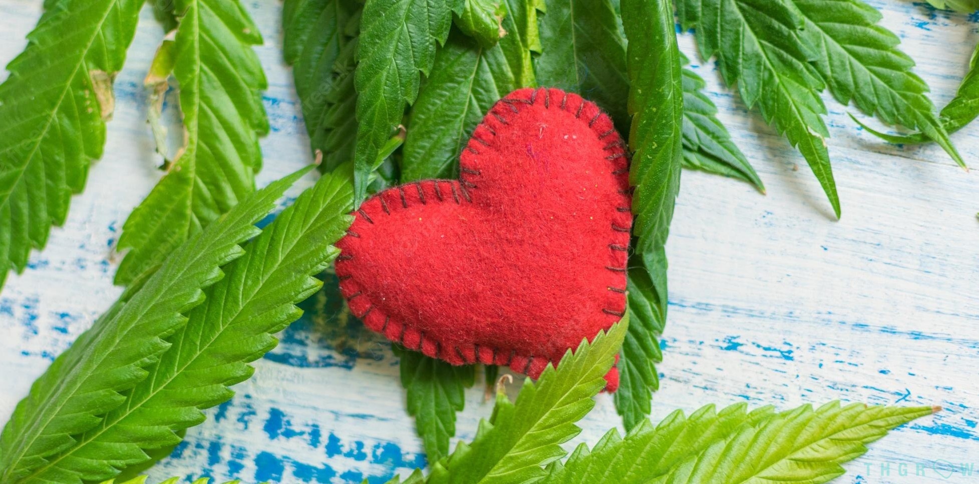 Ama y ensancha el alma. 4 lecciones de amor que nos brinda el cannabis
