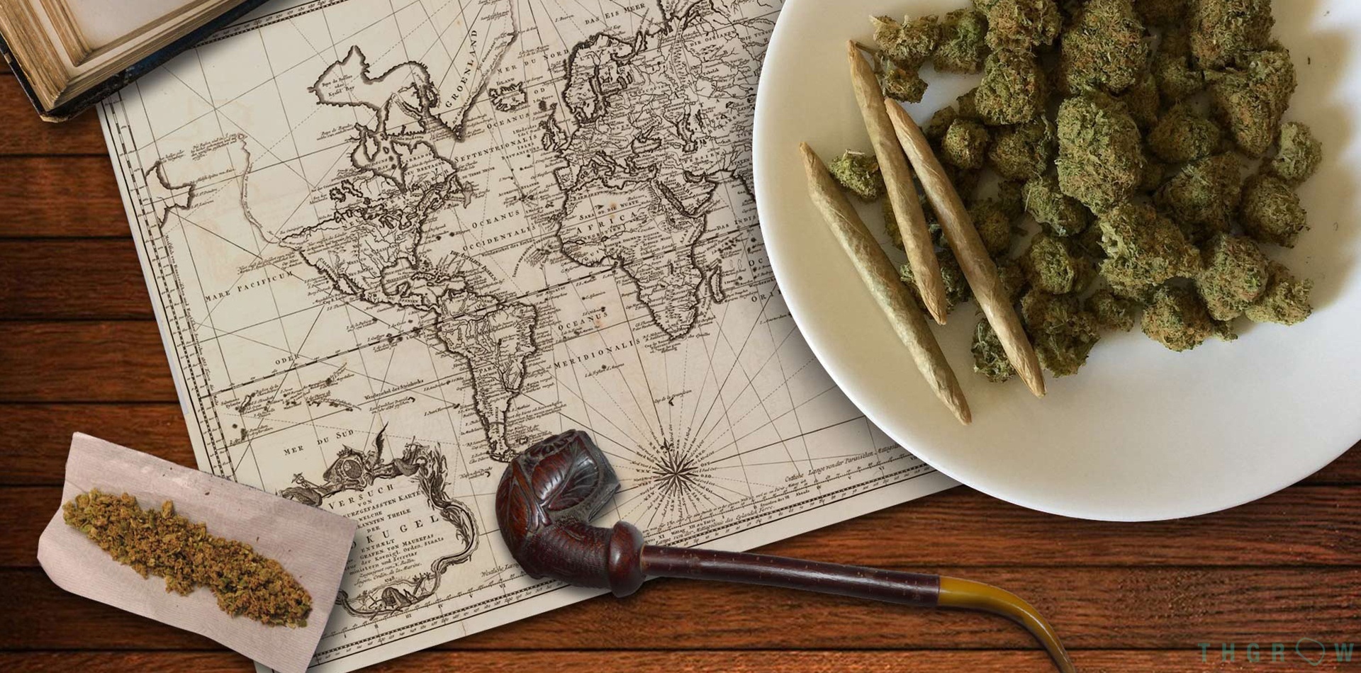 Una breve historia sobre la planta de Cannabis