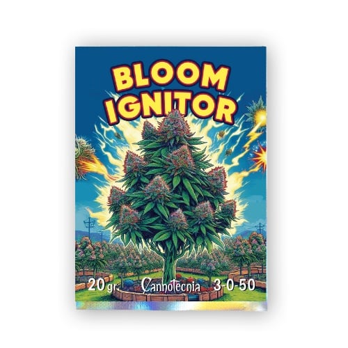 Bloom Ignitor