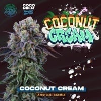 Coconut Cream Feminizada