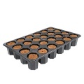 Bandeja 24 Peat Free Propagation Plugs