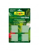 Abono solido para plantas verdes (sin flor)