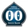 Female Collection no.7 Feminizada