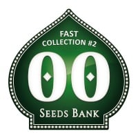 Fast Collection no.2 Feminizada
