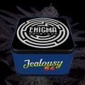 Jealousy 54 Feminizada