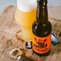 Hemp Beer Hiena (Hazy IPA - 33cl.)