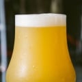 Hemp Beer Hiena (Hazy IPA - 33cl.)