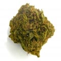 Cannabis Alto CBD Bubble Gum