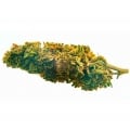Cannabis Alto CBD Blueberry