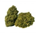 Cannabis alto CBD Sour Diesel
