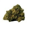 Cannabis alto CBD Blue Dream