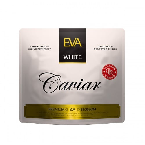 Cannabis alto CBD Indoor Caviar Small Buds