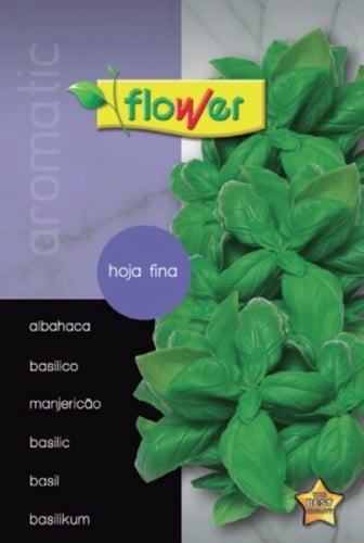 Fine-leaf basil
