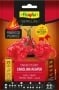 Carolina Reaper Hot Pepper