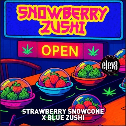 Snowberry Zushi Feminizada Snowberry Zushi Feminizada