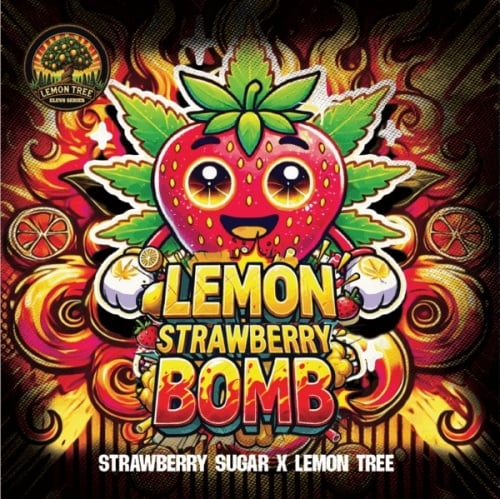 Lemon Strawberry Bomb Feminizada
