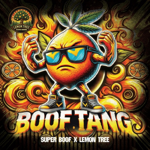 Boof Tang Feminizada