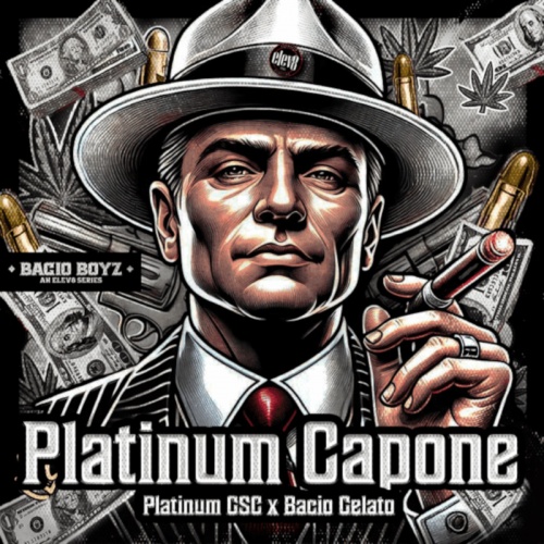 Platinum Capone Feminizada