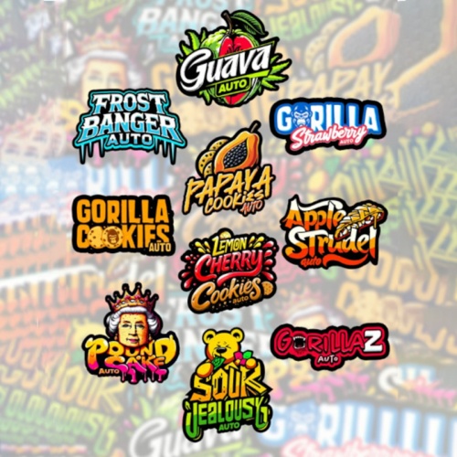 Mix Pack Auto Feminizadas