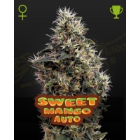 Sweet Mango Auto Feminizada
