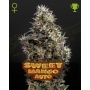 Sweet Mango Auto Feminizada
