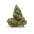 Cannabis alto CBD indoor Amnesia