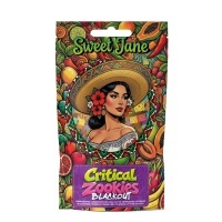 Cañamo CBD Sweet Jane Critical Zookies Blackout