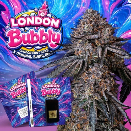 London Bubbly