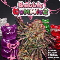 BubbleGummiez