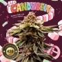 CandyBelt