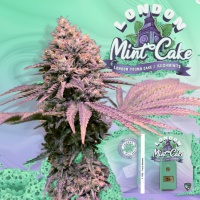 London Mint Cake