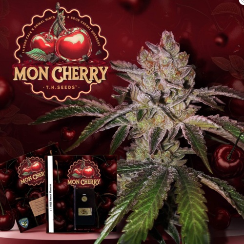 Mon Cherry