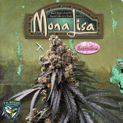 Mona Lisa X Bubblegum