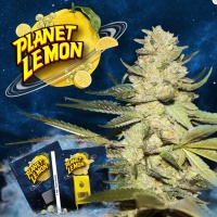 Planet Lemon
