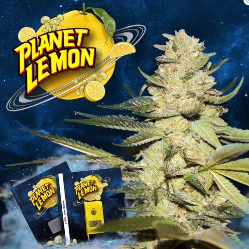 Planet Lemon