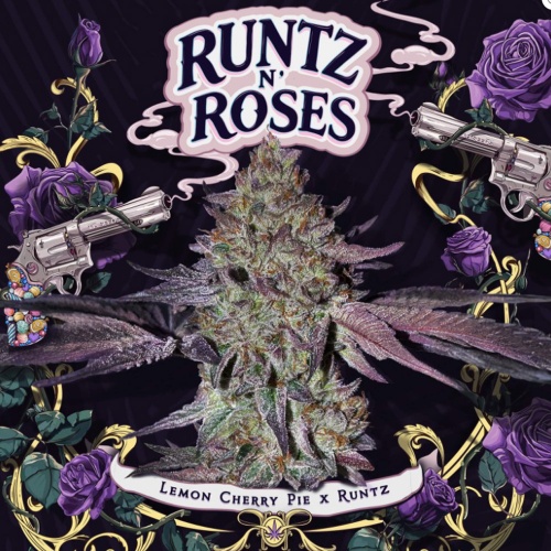 Runtz N´Roses