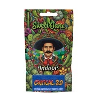 Cañamo CBD Sweet Jane Indoor Critical 2.0