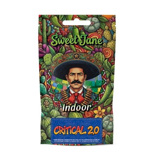 Cañamo CBD Sweet Jane Indoor Critical 2.0