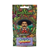 Cañamo CBD Sweet Jane Indoor Gelato