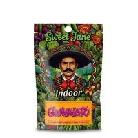 Cañamo CBD Sweet Jane Indoor Guavalato