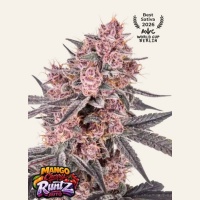 Mango Cherry Runtz Auto Feminizada