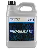 Pro-Silicate - 1 litro