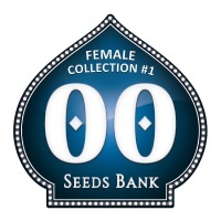 Female Collection no.1 Feminizada