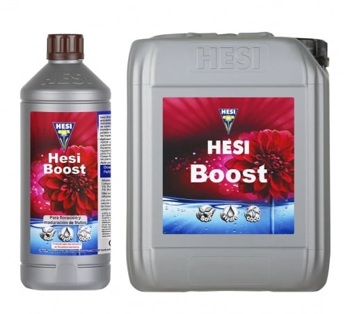 Hesi BOOST
