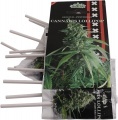 Piruletas Cannabis Lollipop (10 unidades)