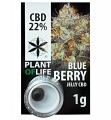 Plant of Life 22% CBD Hash (1 gram)