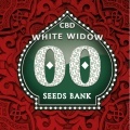 White Widow CBD Féminisée